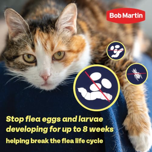 Bob Martin Clear Spot On Flea Treatment for Cats & Kitten