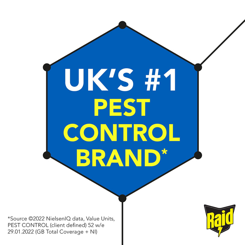 Raid Rapid Action Fly & Wasp Killer, Fly Killer Spray for Indoor Use, 300ml