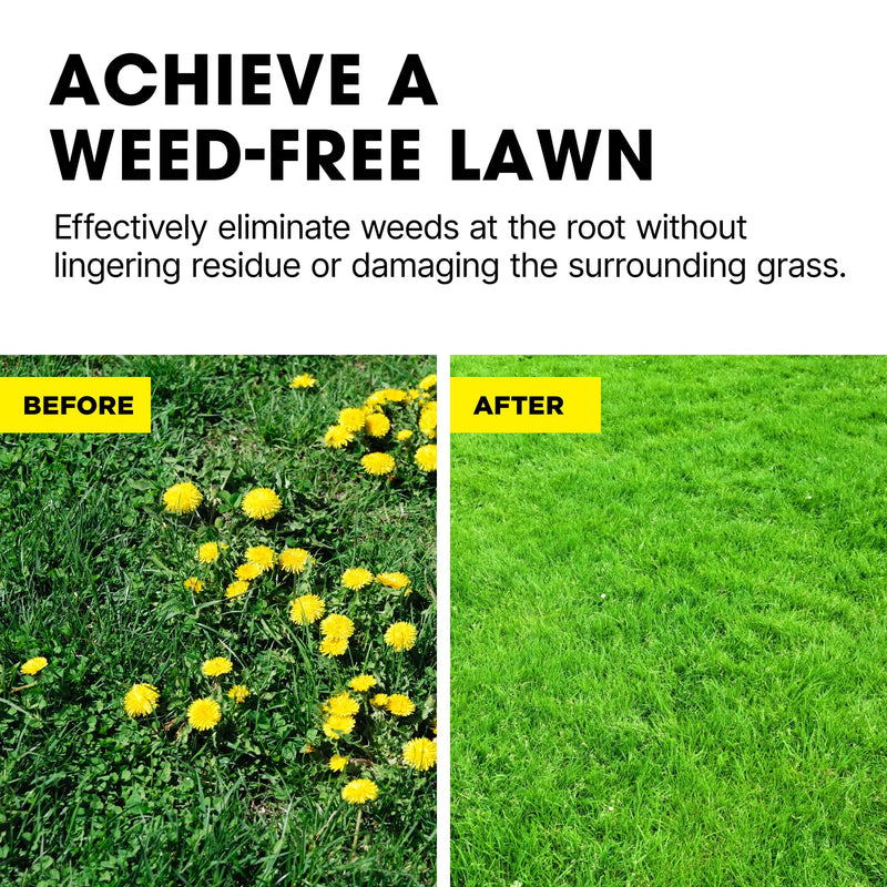 Doff Lawn Weedkiller Spray Bottle Specially Formulated Ready to Use, 1 x Doff Lawn Weedkiller 1L