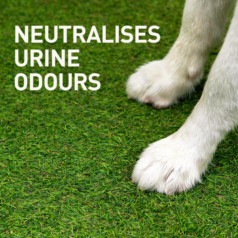 1001 Professional Artificial Grass Cleaner 5L – No Need to Wash Off