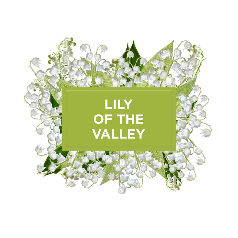 Glade Solid Gel Air Freshener, Odour Eliminator for Home & Bathroom ,Lily of the Valley, Pack of 8 (8 x 150g)