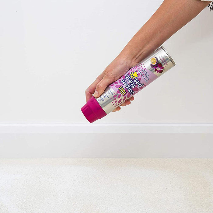1001 Carpet Fresh