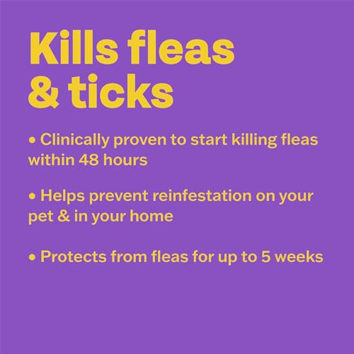 Bob Martin Clear Spot On Flea Treatment for Cats & Kittens - Kills Fleas & Ticks (3 Pipettes)