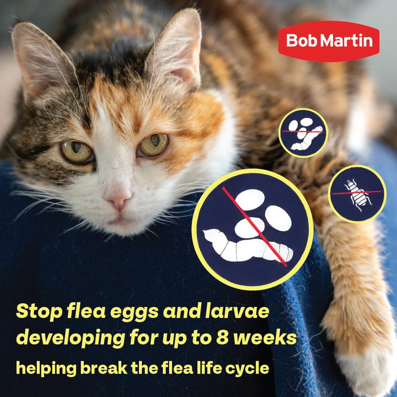 Bob Martin Clear Plus Spot On Flea Treatment for Large, Small and Medium Dogs- Kills Fleas, Ticks, Lice and Flea Eggs (3 Pipettes)
