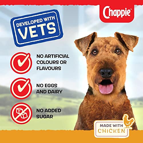 Chappie Complete Dry Dog Food for Adult Dogs
